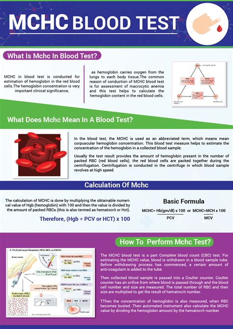 Low MCHC: Blood Test Results, Symptoms, and More .